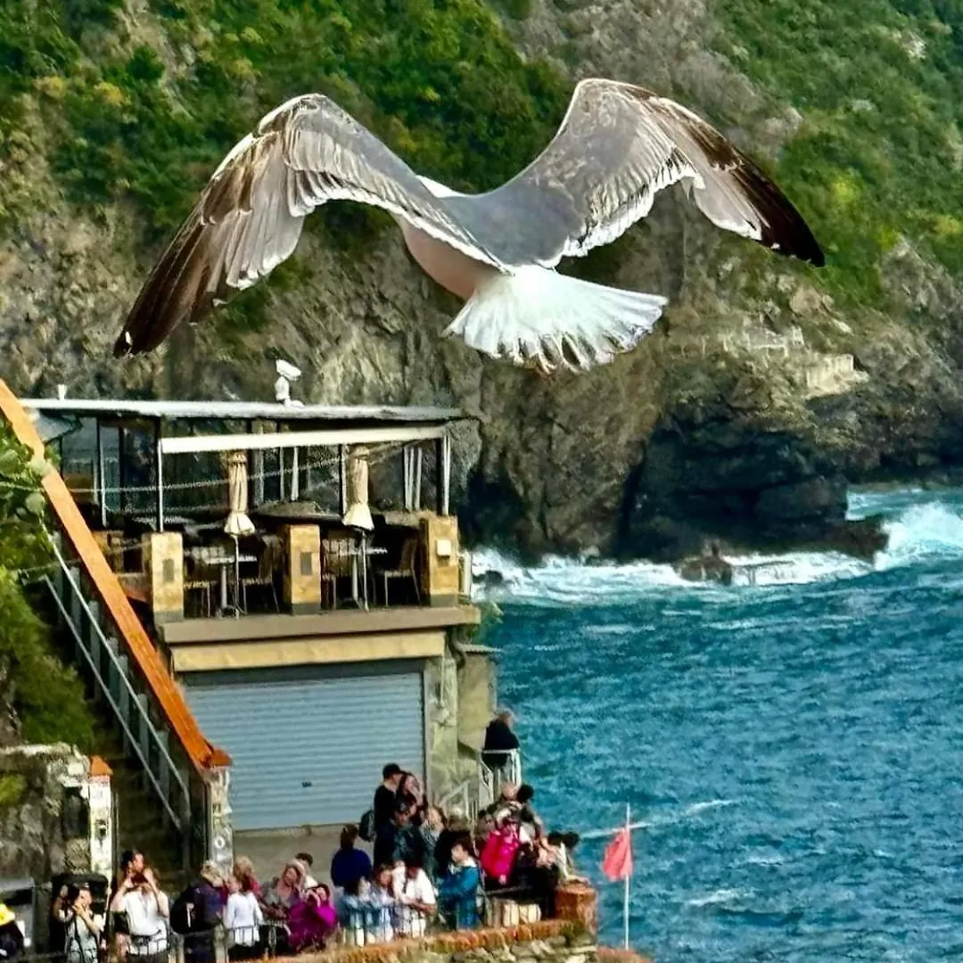 La Chiglia Apartment Riomaggiore